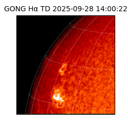 gong - 2025-09-28T14:00:22