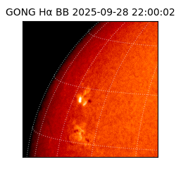 gong - 2025-09-28T22:00:02