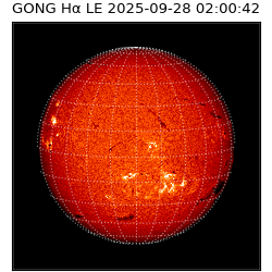 gong - 2025-09-28T02:00:42