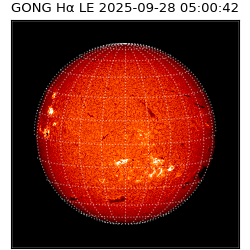 gong - 2025-09-28T05:00:42