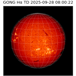 gong - 2025-09-28T08:00:22