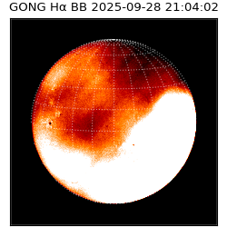 gong - 2025-09-28T21:04:02