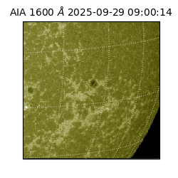 saia - 2025-09-29T09:00:14.126000