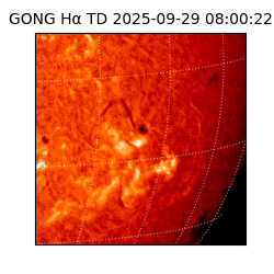 gong - 2025-09-29T08:00:22