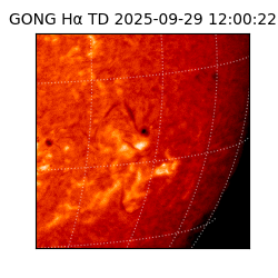 gong - 2025-09-29T12:00:22