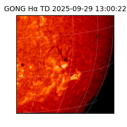 gong - 2025-09-29T13:00:22