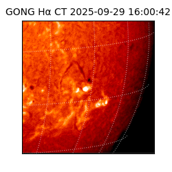 gong - 2025-09-29T16:00:42