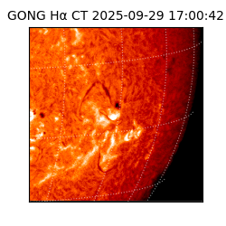 gong - 2025-09-29T17:00:42