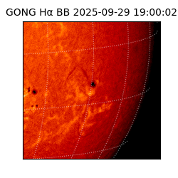 gong - 2025-09-29T19:00:02