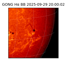 gong - 2025-09-29T20:00:02