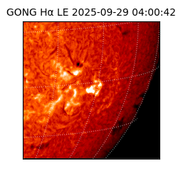 gong - 2025-09-29T04:00:42