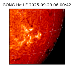 gong - 2025-09-29T06:00:42