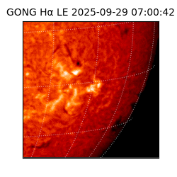 gong - 2025-09-29T07:00:42