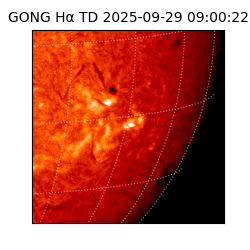 gong - 2025-09-29T09:00:22