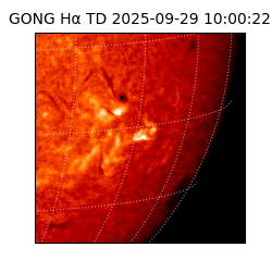gong - 2025-09-29T10:00:22