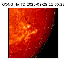 gong - 2025-09-29T11:00:22