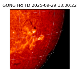 gong - 2025-09-29T13:00:22
