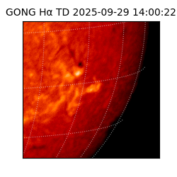 gong - 2025-09-29T14:00:22