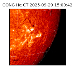 gong - 2025-09-29T15:00:42