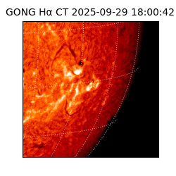 gong - 2025-09-29T18:00:42