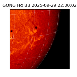 gong - 2025-09-29T22:00:02