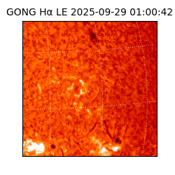 gong - 2025-09-29T01:00:42