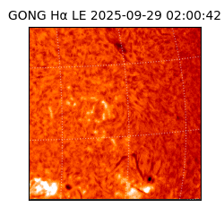 gong - 2025-09-29T02:00:42