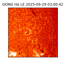 gong - 2025-09-29T03:00:42