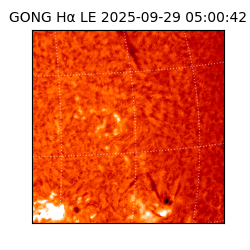 gong - 2025-09-29T05:00:42