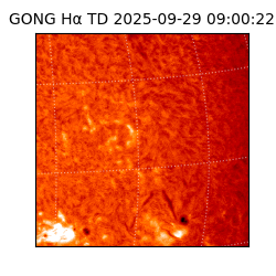 gong - 2025-09-29T09:00:22