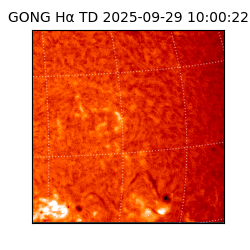 gong - 2025-09-29T10:00:22