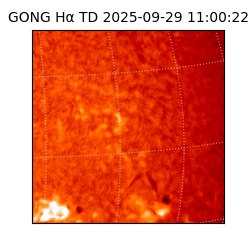 gong - 2025-09-29T11:00:22