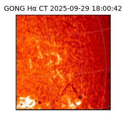 gong - 2025-09-29T18:00:42