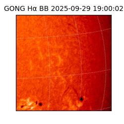 gong - 2025-09-29T19:00:02