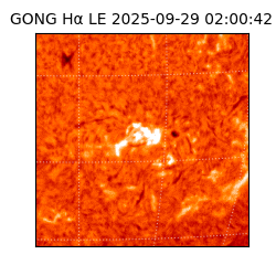 gong - 2025-09-29T02:00:42