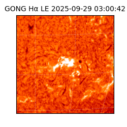 gong - 2025-09-29T03:00:42