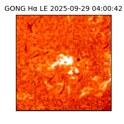 gong - 2025-09-29T04:00:42