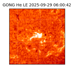 gong - 2025-09-29T06:00:42