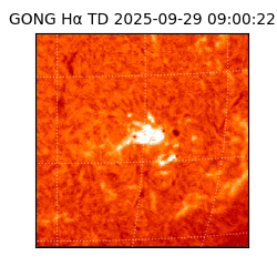 gong - 2025-09-29T09:00:22