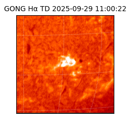 gong - 2025-09-29T11:00:22