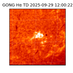 gong - 2025-09-29T12:00:22