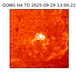 gong - 2025-09-29T13:00:22