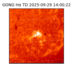 gong - 2025-09-29T14:00:22