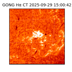 gong - 2025-09-29T15:00:42