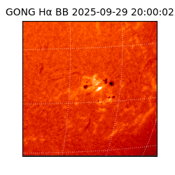 gong - 2025-09-29T20:00:02