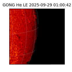 gong - 2025-09-29T01:00:42