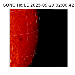 gong - 2025-09-29T02:00:42