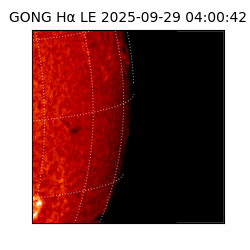 gong - 2025-09-29T04:00:42