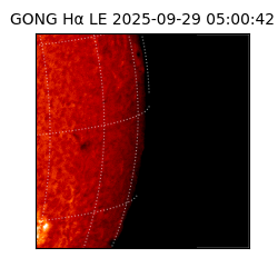 gong - 2025-09-29T05:00:42