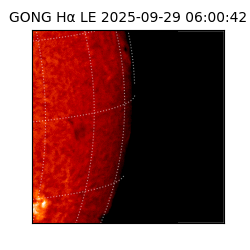 gong - 2025-09-29T06:00:42